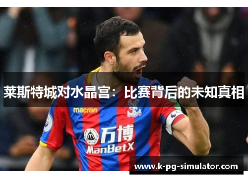 莱斯特城对水晶宫:比赛背后的未知真相 莱斯特城对水晶宫:比赛背后的未知真相