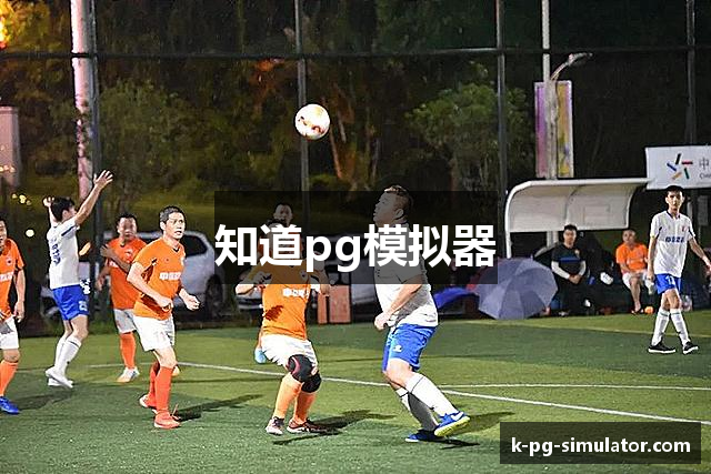 知道pg模拟器
